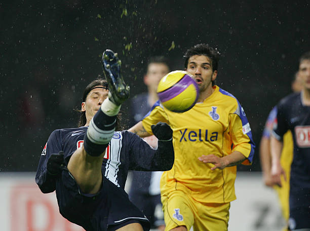 我将根据你 我将根据你